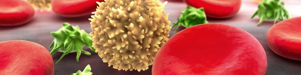 blood cells