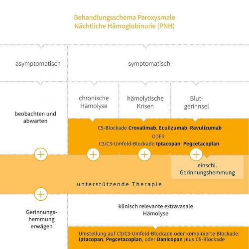 Behandlungsschema der PNH nach DGHO Stand September 2024