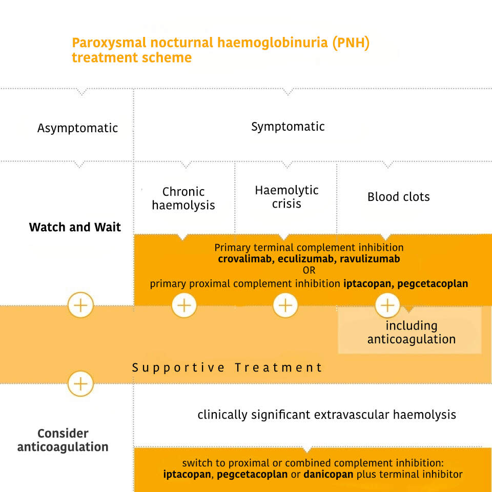 Simplified presentation of the therapy algorithm.
