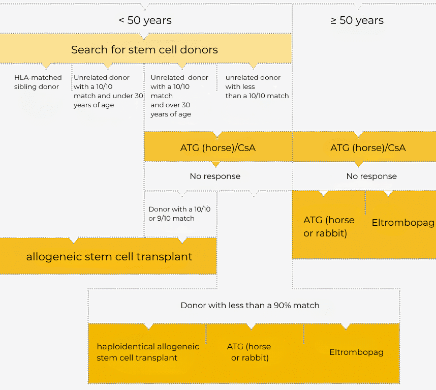Clearly simplified presentation of the therapy algorithm.